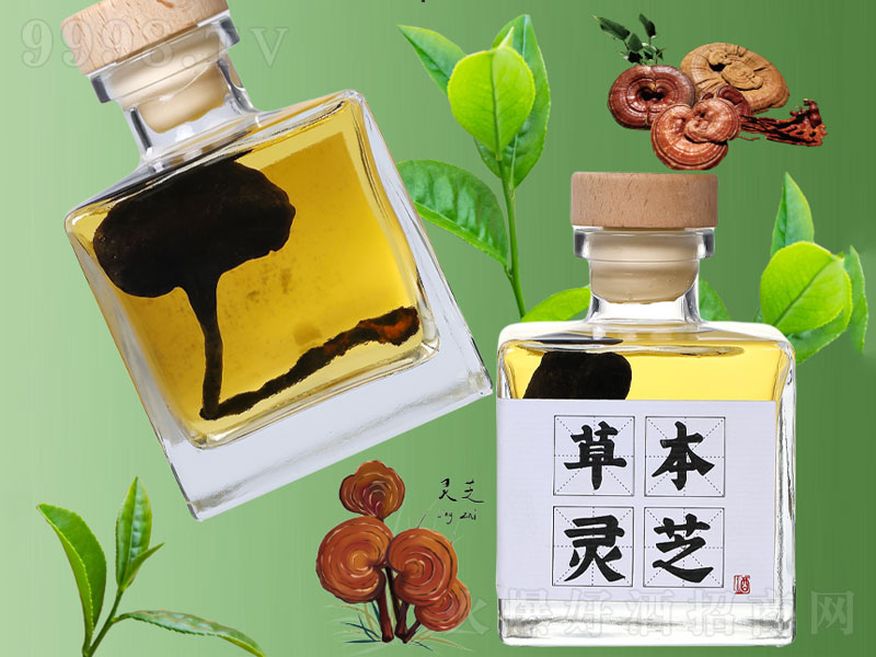 草本灵芝酒【35度238ml】